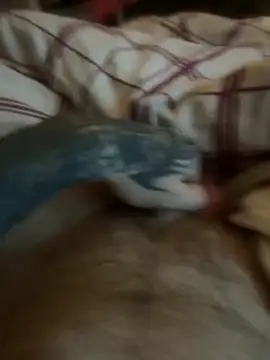 Snapshot of Thebald-topher chatting on September 28, 2025, 11:10 pm Thebald-topher online show from September 28, 2025, 11:10 pm