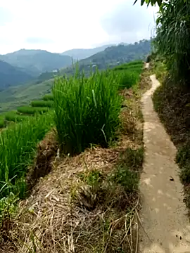 nhinhi-sexy online show from October 10, 2025, 5:39 am