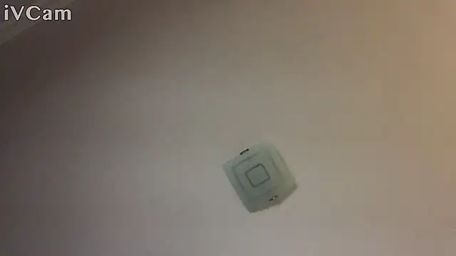 Snapshot of XxvanxX chatting on November 14, 2025, 6:50 pm XxvanxX online show from November 14, 2025, 6:50 pm