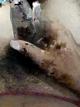 nagepalli online show from November 1, 2025, 2:13 am