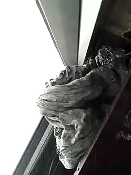 amanWildstalion online show from November 8, 2025, 7:19 am