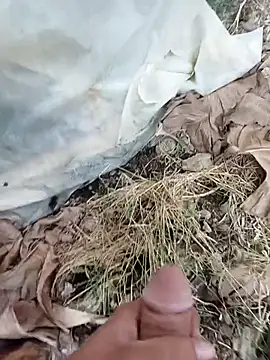 Sikici0734 online show from October 8, 2025, 6:44 am