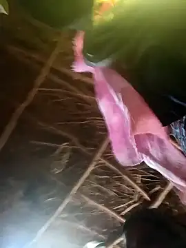 Janvi tv online show from October 31, 2025, 5:19 am