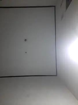 wibunewbie online show from December 18, 2025, 3:51 pm