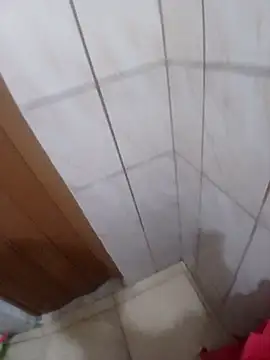 ftoddy1991 online show from November 24, 2025, 12:32 am