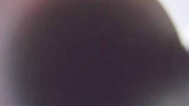 Stefano Calle online show from December 3, 2025, 11:41 am