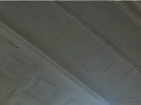 EsotericPaloma online show from October 24, 2025, 7:10 pm