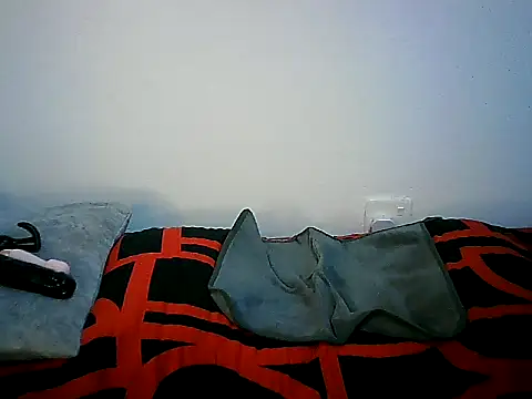 Ntokozo290 online show from November 11, 2025, 7:03 pm