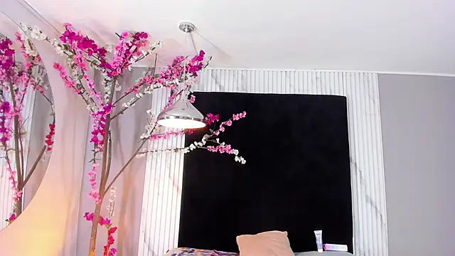 Snapshot of Aliyah_Brooks_cr chatting on December 2, 2025, 3:45 am Aliyah Brooks cr online show from December 2, 2025, 3:45 am