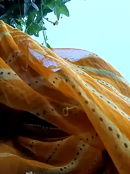 Cutsedi3 online show from October 18, 2025, 11:33 am