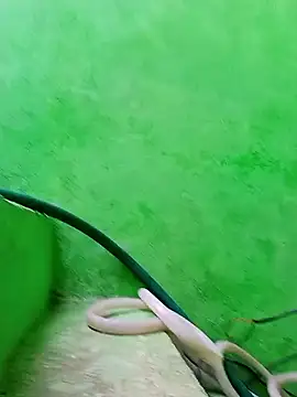 Snapshot of Karishma_cute chatting on November 29, 2025, 4:48 am Karishma cute online show from November 29, 2025, 4:48 am