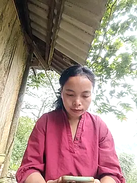 Nguyet2k4 online show from November 24, 2025, 1:49 am