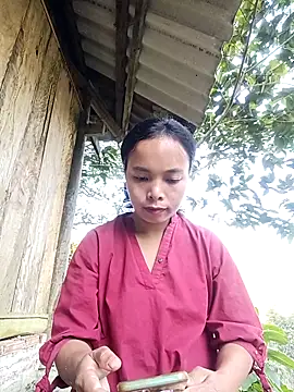 Nguyet2k4 online show from November 25, 2025, 1:05 am