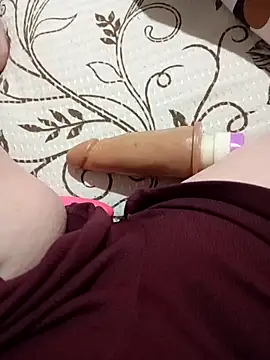 Taradinha pelosogro online show from October 27, 2025, 12:31 pm