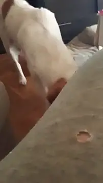 Snapshot of goloso80 chatting on October 22, 2025, 1:11 pm goloso80 online show from October 22, 2025, 1:11 pm