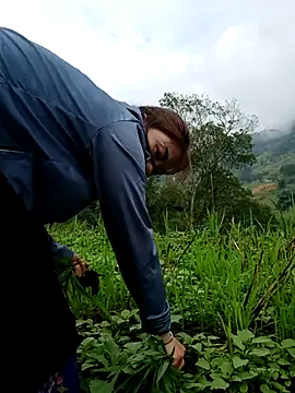 omai-ngot online show from October 26, 2025, 1:22 am