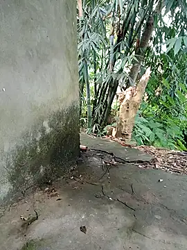 Snapshot of Bear_bear0 chatting on November 8, 2025, 1:50 am Bear bear0 online show from November 8, 2025, 1:50 am