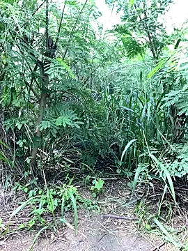 couplesexroom online show from November 19, 2025, 8:03 am