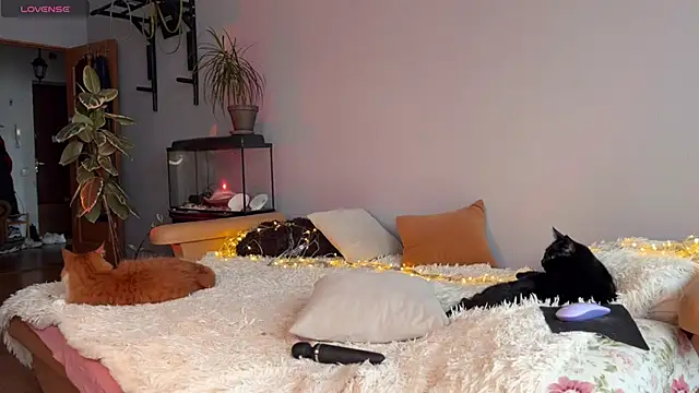 Snapshot of Lin_Cherie chatting on November 20, 2025, 11:21 am Lin Cherie online show from November 20, 2025, 11:21 am