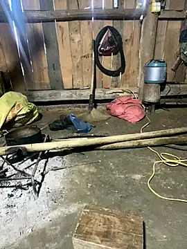 Snapshot of nachi-baby chatting on December 14, 2025, 8:52 am nachi-baby online show from December 14, 2025, 8:52 am