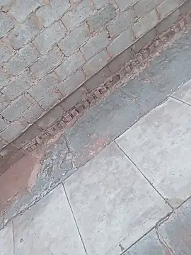 younggblackkCOCK19 online show from November 3, 2025, 3:24 pm