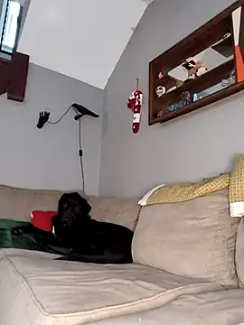 Snapshot of mattiethebaddieee chatting on November 30, 2025, 8:35 pm mattiethebaddieee online show from November 30, 2025, 8:35 pm