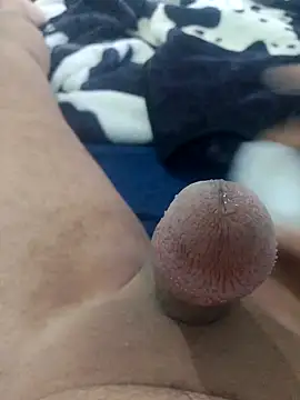 Ayoub ben27 online show from November 8, 2025, 3:45 pm