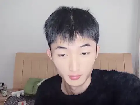 Snapshot of N228 chatting on November 12, 2025, 8:04 am N228 online show from November 12, 2025, 8:04 am