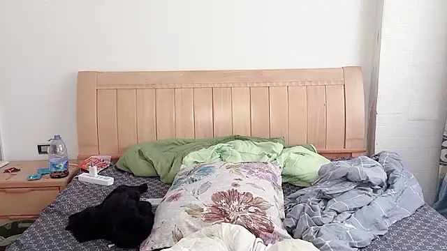 Snapshot of N228 chatting on December 5, 2025, 6:55 am N228 online show from December 5, 2025, 6:55 am