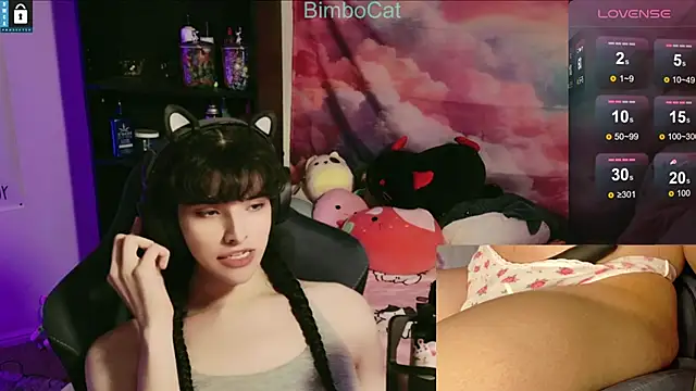 BimboCat online show from November 15, 2025, 3:37 am