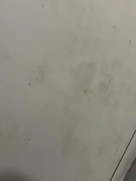 Isamperry69 online show from October 31, 2025, 4:02 am