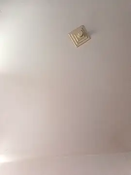 Ricardotarado online show from November 6, 2025, 1:01 pm