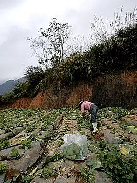 Snapshot of min_nyny chatting on November 21, 2025, 1:26 am min nyny online show from November 21, 2025, 1:26 am