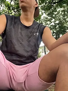 Dylams maja online show from November 27, 2025, 8:33 pm