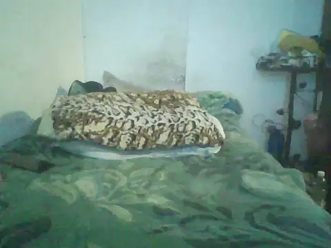 GuilleHotsexy online show from November 11, 2025, 1:00 pm