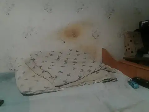 Snapshot of Kreol69 chatting on November 19, 2025, 4:51 pm Kreol69 online show from November 19, 2025, 4:51 pm