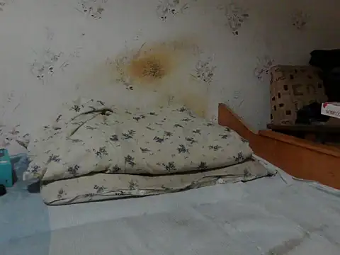 Snapshot of Kreol69 chatting on November 24, 2025, 4:12 am Kreol69 online show from November 24, 2025, 4:12 am