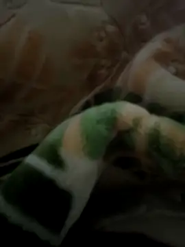 sosalAltimeter online show from November 29, 2025, 2:42 pm