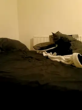 Jakefeeney online show from November 17, 2025, 10:04 pm