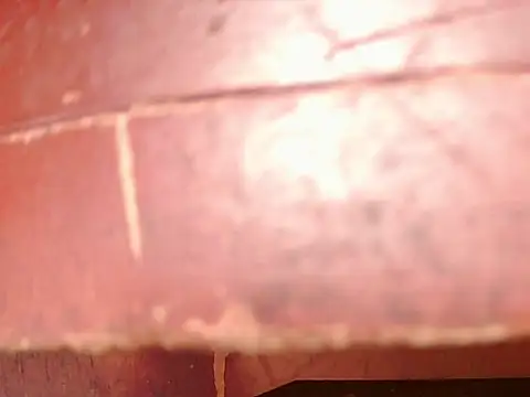 ashleey palmer online show from November 26, 2025, 1:01 pm