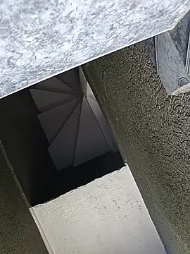 Shofy22 online show from December 2, 2025, 3:51 pm