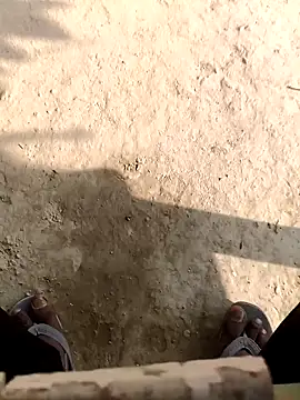 bold 77 online show from December 2, 2025, 8:52 am