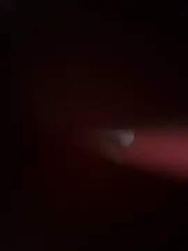 PartiedOmelet online show from November 24, 2025, 7:24 pm