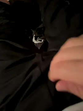 Snapshot of Laufla chatting on December 3, 2025, 10:52 pm Laufla online show from December 3, 2025, 10:52 pm