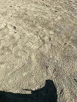 Snapshot of ratemydickbabe chatting on December 1, 2025, 9:36 am ratemydickbabe online show from December 1, 2025, 9:36 am