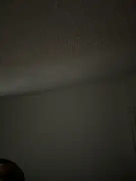 lige-8888 online show from November 29, 2025, 8:12 pm