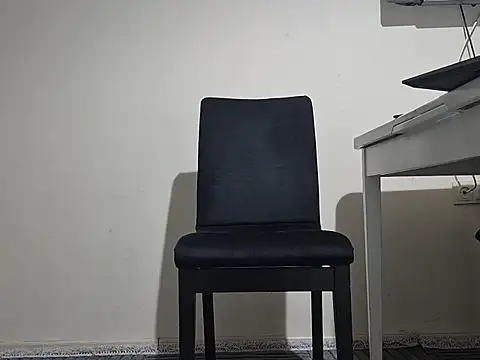 theseman028 online show from November 28, 2025, 5:26 pm