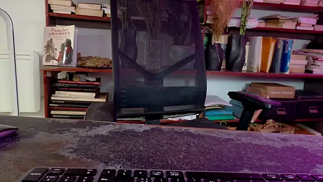 diogene11 online show from November 29, 2025, 8:50 am