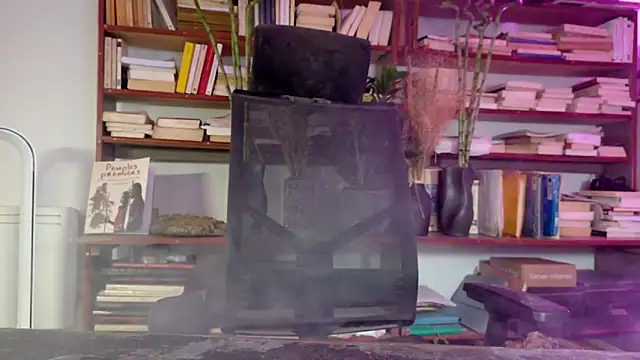 diogene11 online show from December 2, 2025, 3:07 pm