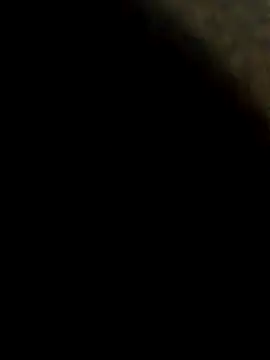 Tg401216 online show from November 30, 2025, 1:37 pm